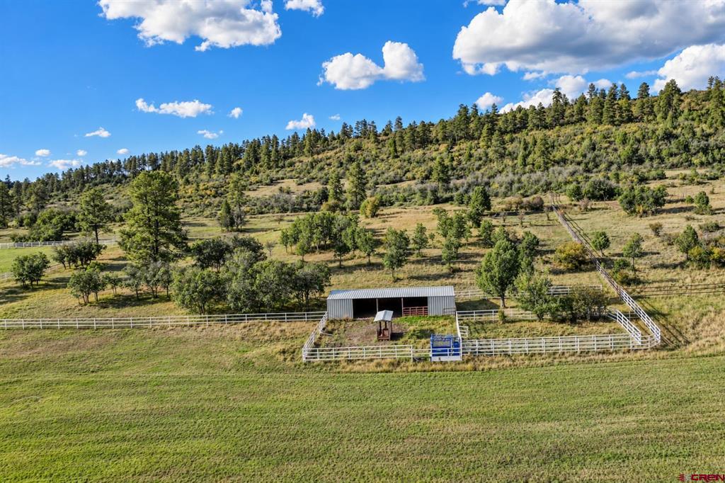 12250 Road 44 Mancos CO 81328