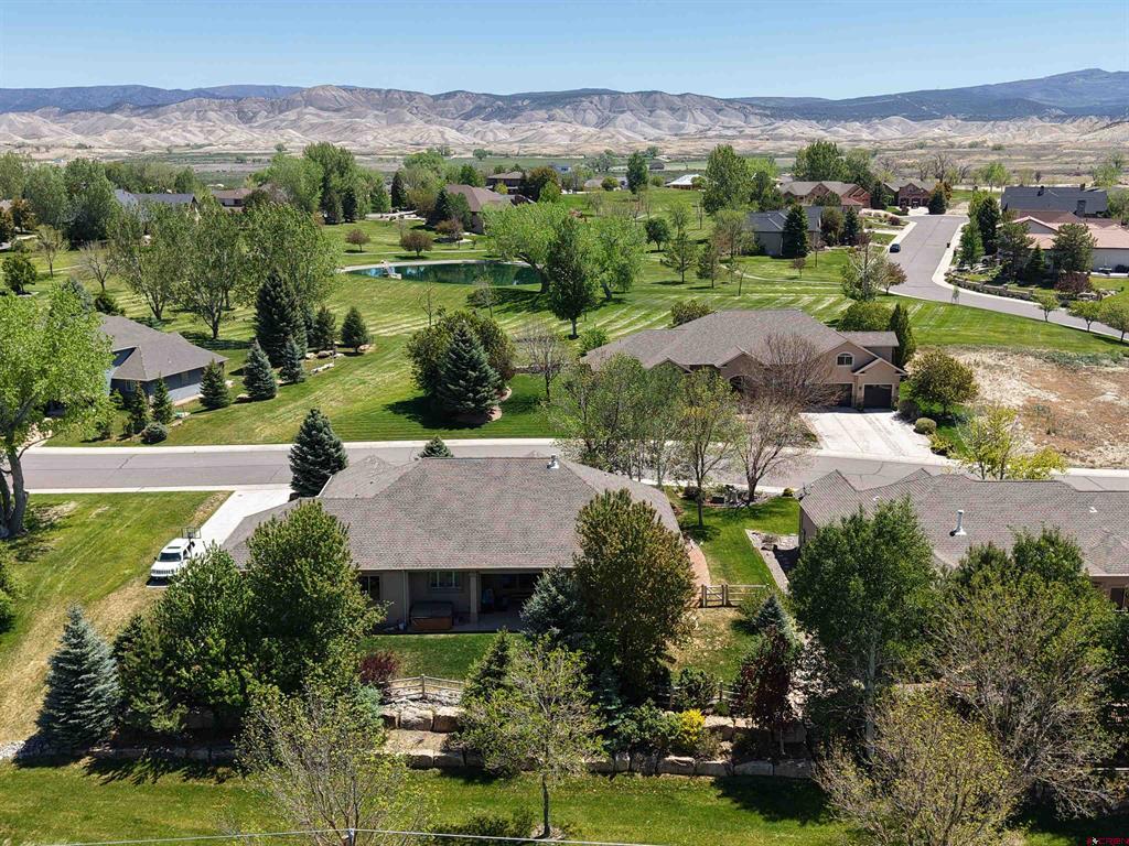 3325 Mahogany Drive Montrose CO 81401