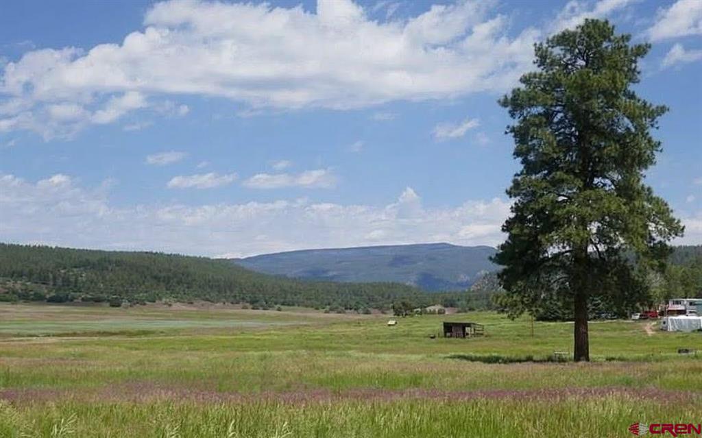 75 Lemon Court Pagosa Springs CO 81147