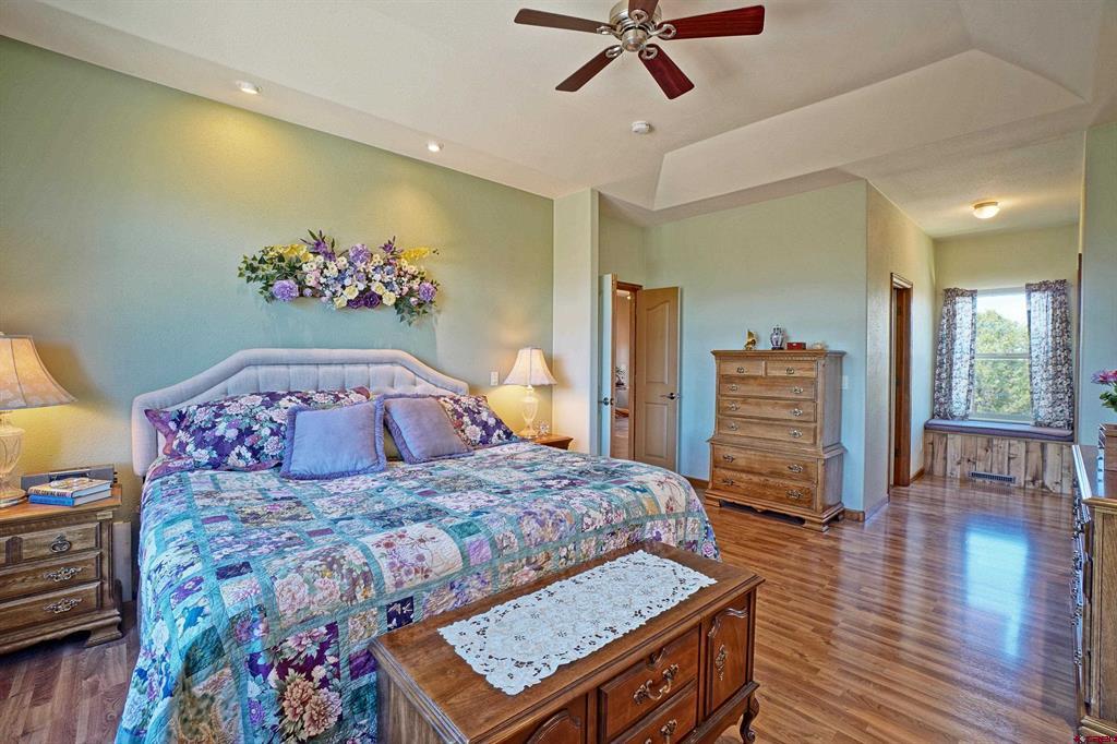 819 Pine Drive Ridgway CO 81432
