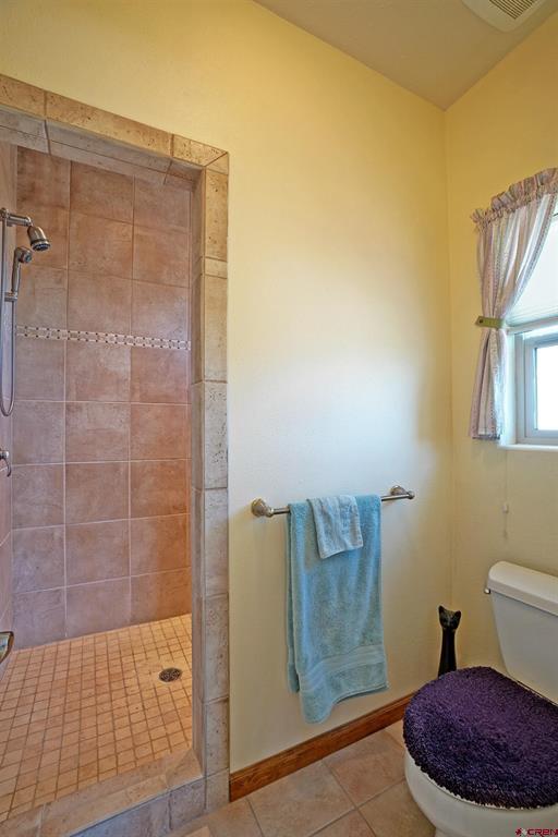 819 Pine Drive Ridgway CO 81432