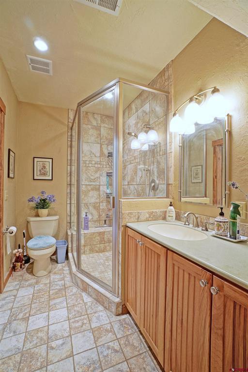 819 Pine Drive Ridgway CO 81432