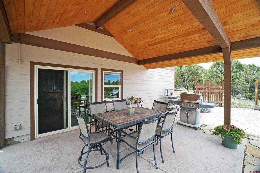819 Pine Drive Ridgway CO 81432