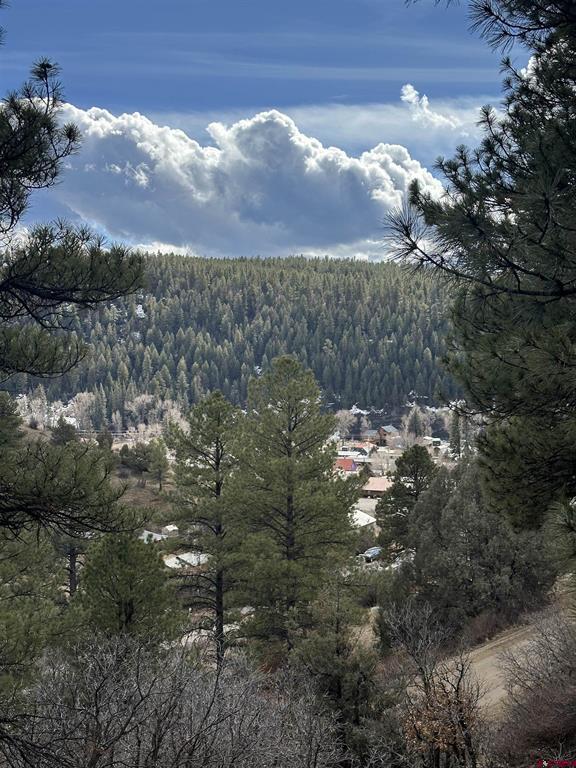 326 Mesa Drive Pagosa Springs CO 81147