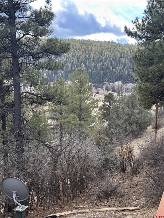 326 Mesa Drive Pagosa Springs CO 81147
