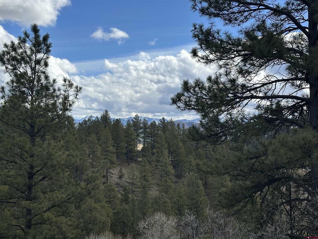 326 Mesa Drive Pagosa Springs CO 81147