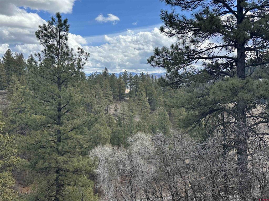 326 Mesa Drive Pagosa Springs CO 81147