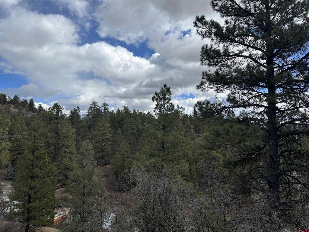326 Mesa Drive Pagosa Springs CO 81147