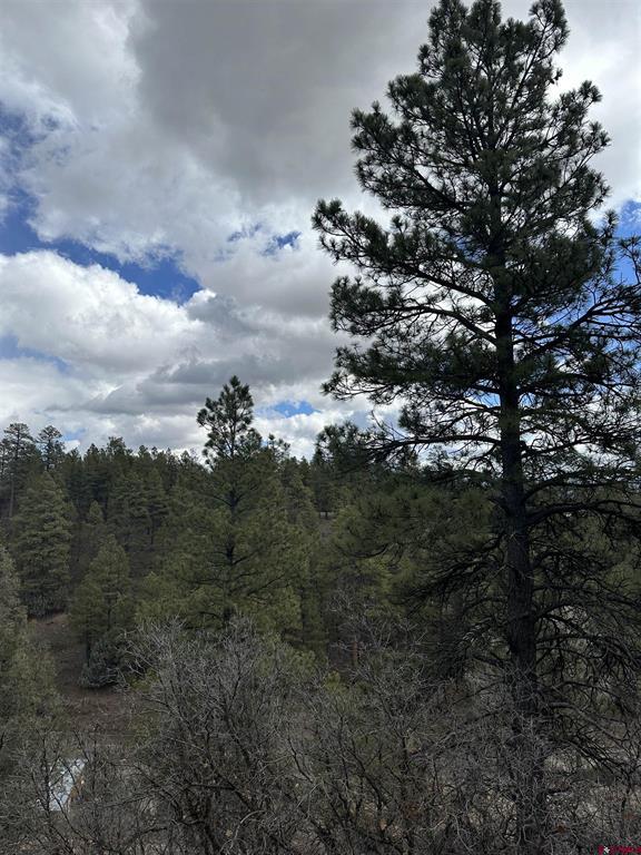 326 Mesa Drive Pagosa Springs CO 81147