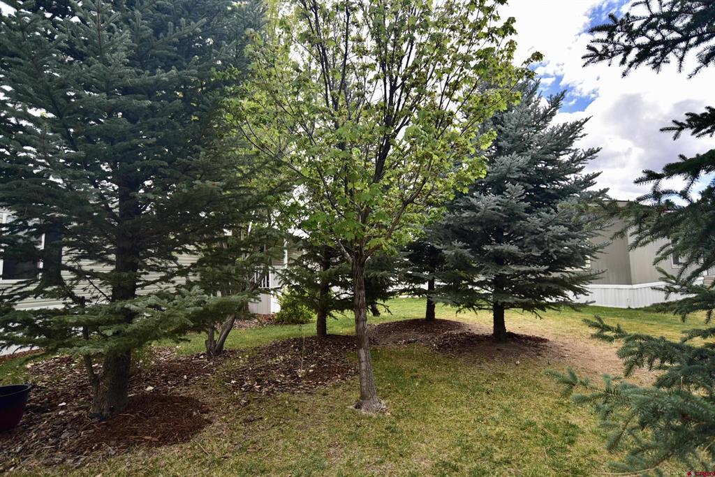 901 6530 Road Montrose CO 81401