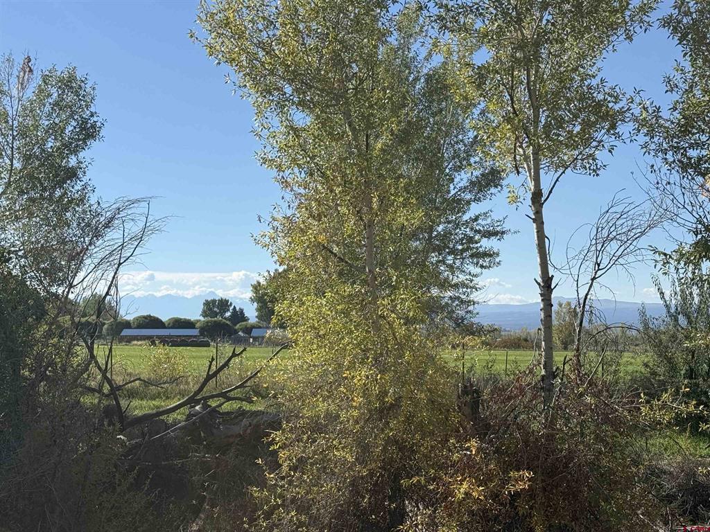 12551 6495 Road Montrose CO 81401