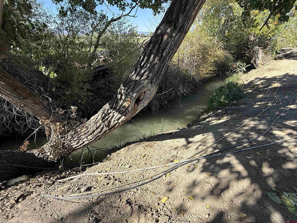 12551 6495 Road Montrose CO 81401