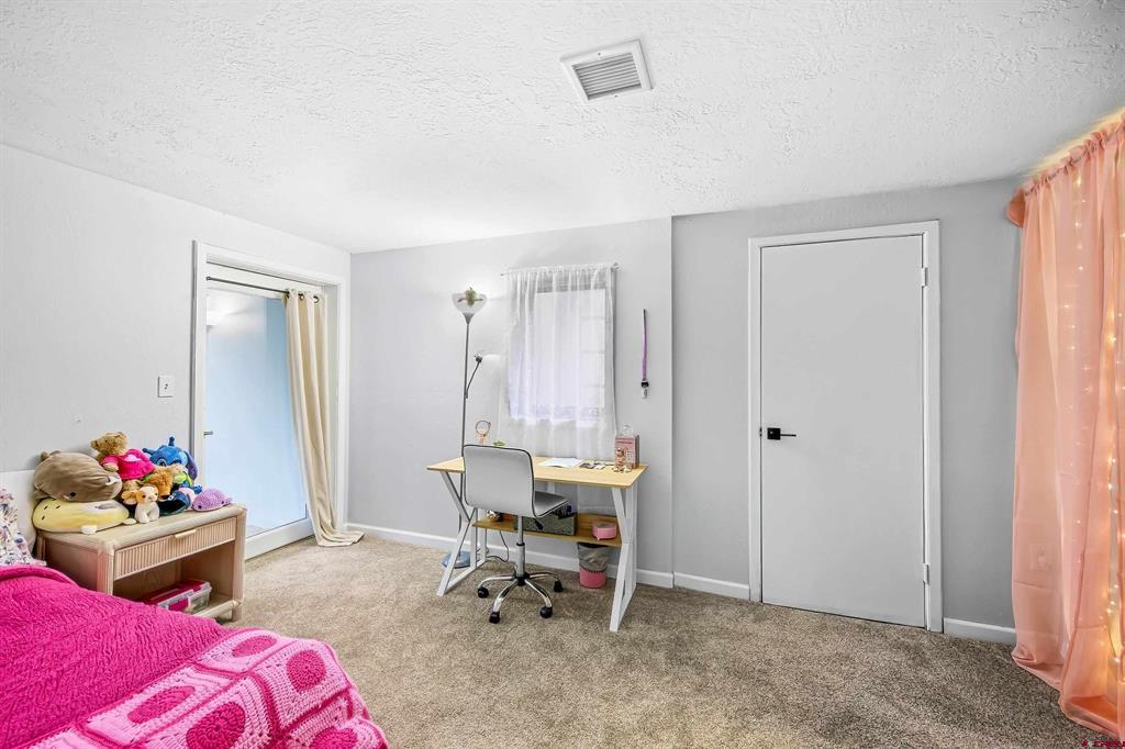 1723 Stellar Place Montrose CO 81401