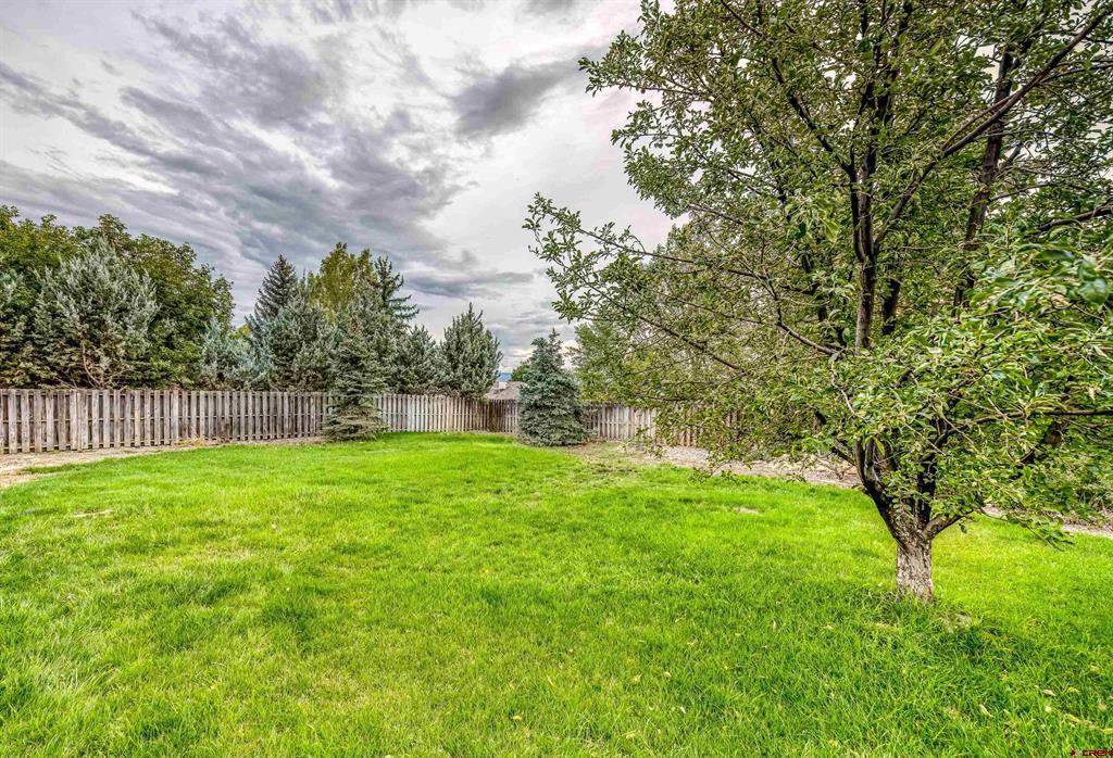 1723 Stellar Place Montrose CO 81401