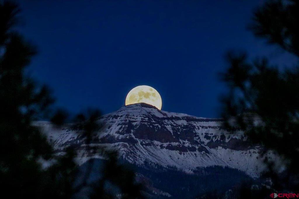 24001 Highway 84 Chromo CO 81128