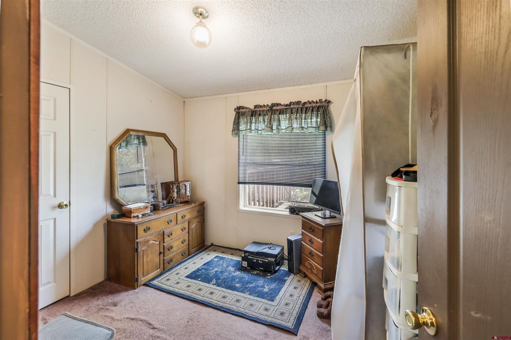 303 Caballo Place Pagosa Springs CO 81147