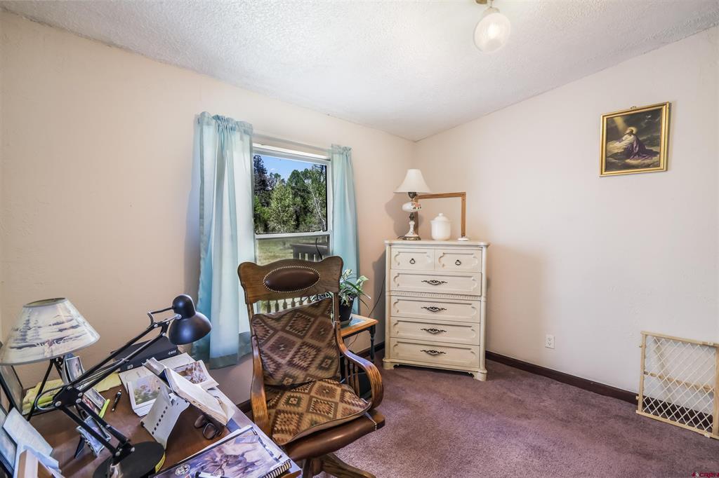 303 Caballo Place Pagosa Springs CO 81147