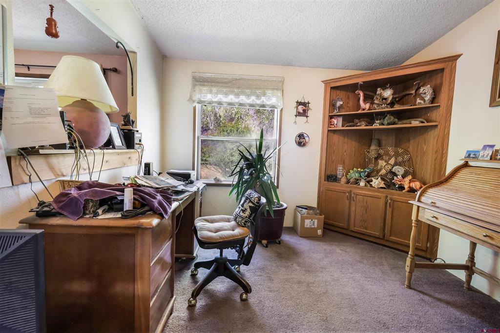 303 Caballo Place Pagosa Springs CO 81147