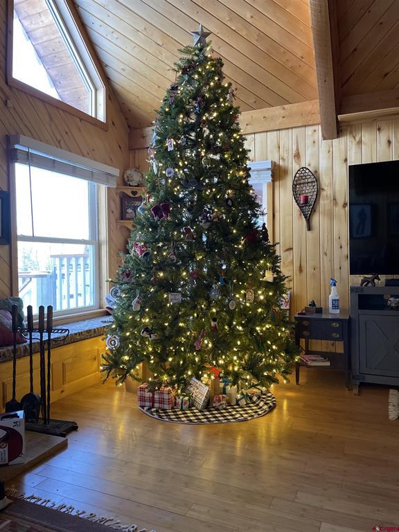11993 Castle Rock Road Del Norte CO 81132