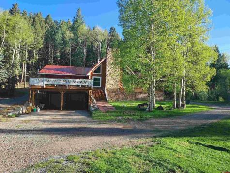11993 Castle Rock Road Del Norte CO 81132