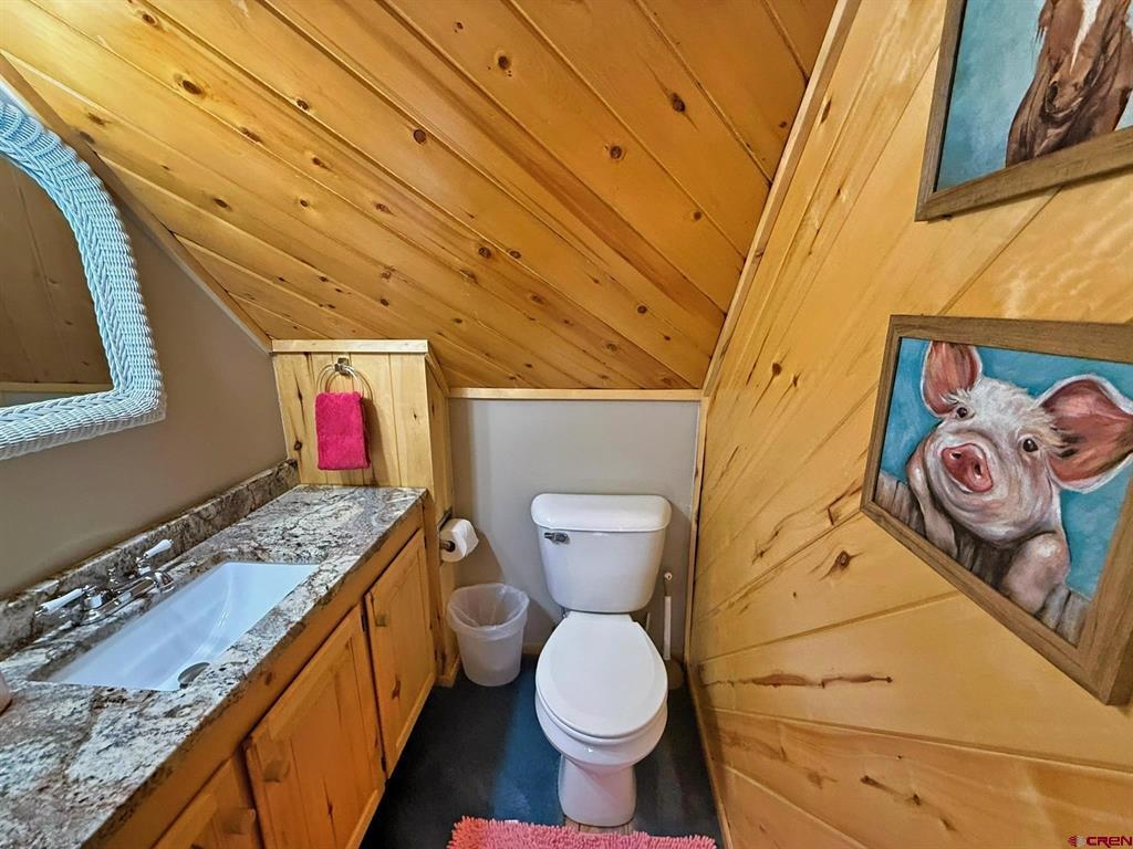 11993 Castle Rock Road Del Norte CO 81132