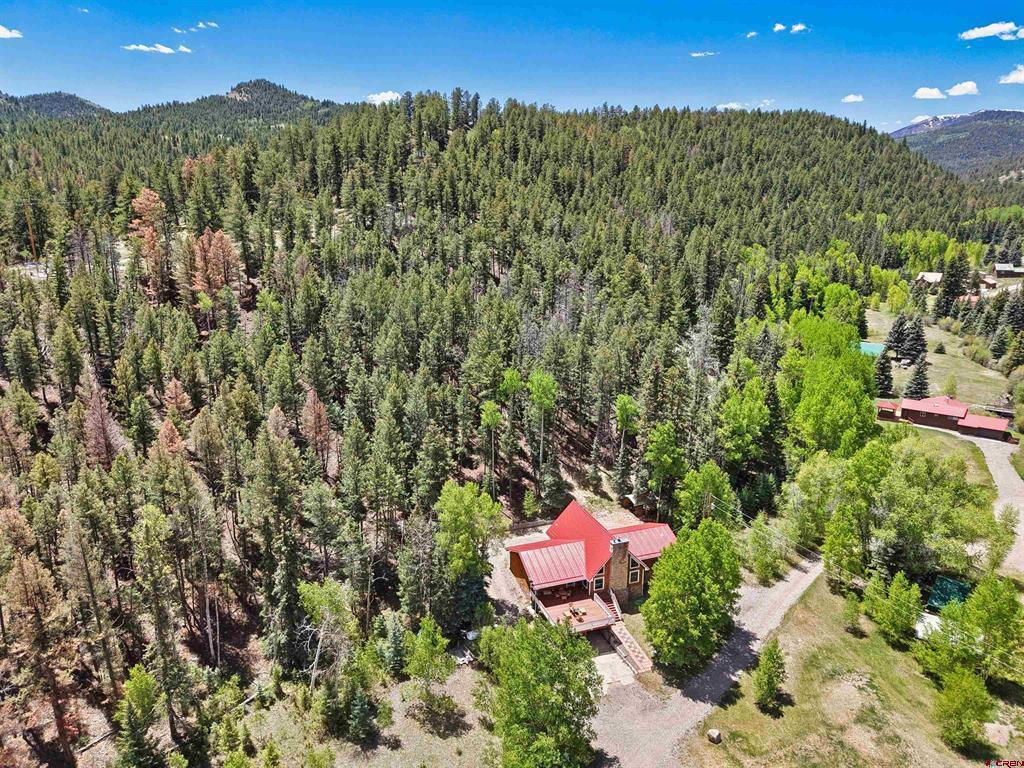 11993 Castle Rock Road Del Norte CO 81132
