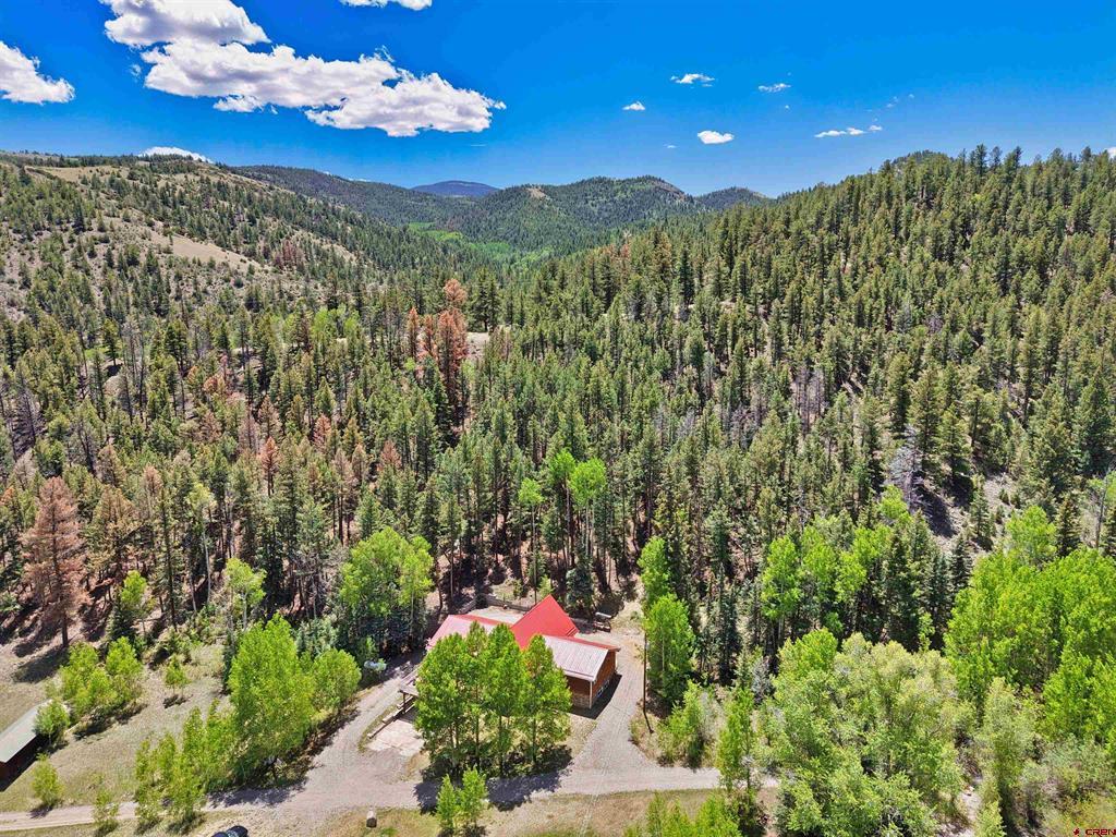 11993 Castle Rock Road Del Norte CO 81132