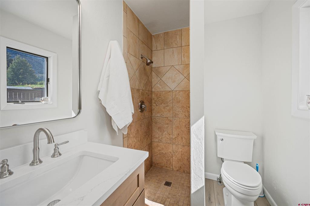 322 Silver Street Lake City CO 81235