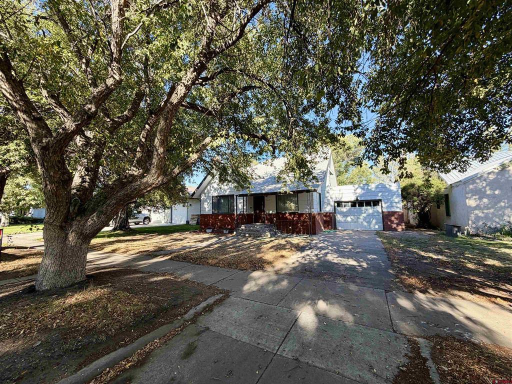 242 Morris Street Monte Vista CO 81144