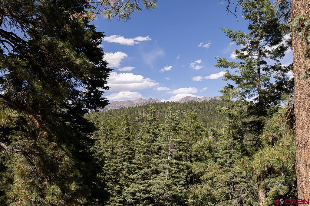 809 Columbine Road Durango CO 81301