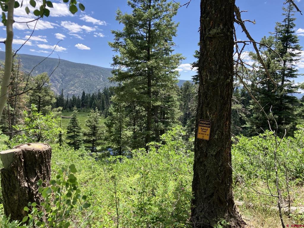 809 Columbine Road Durango CO 81301