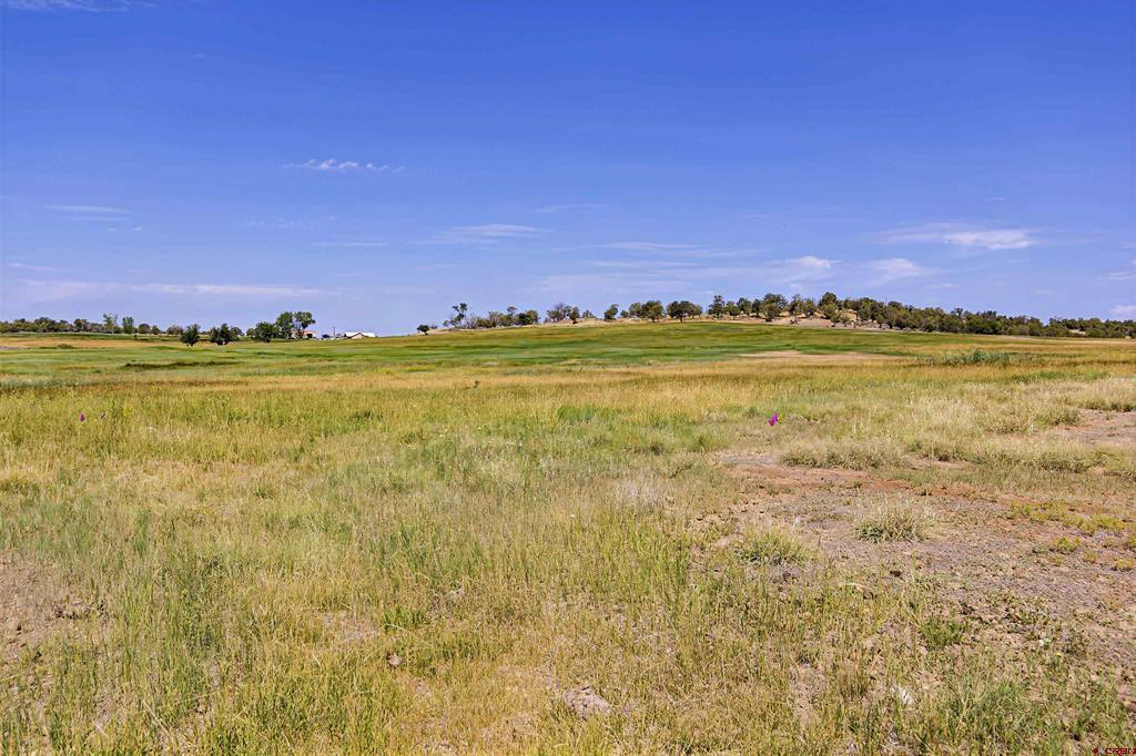 320 County Road 329 Ignacio CO 81137