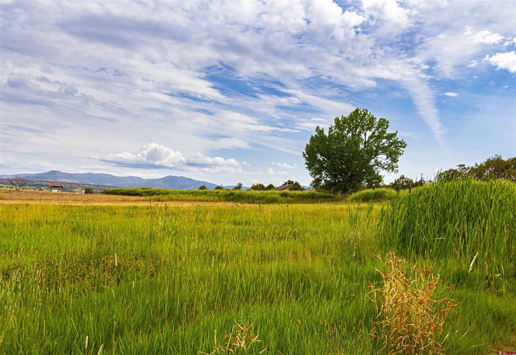 320 County Road 329 Ignacio CO 81137
