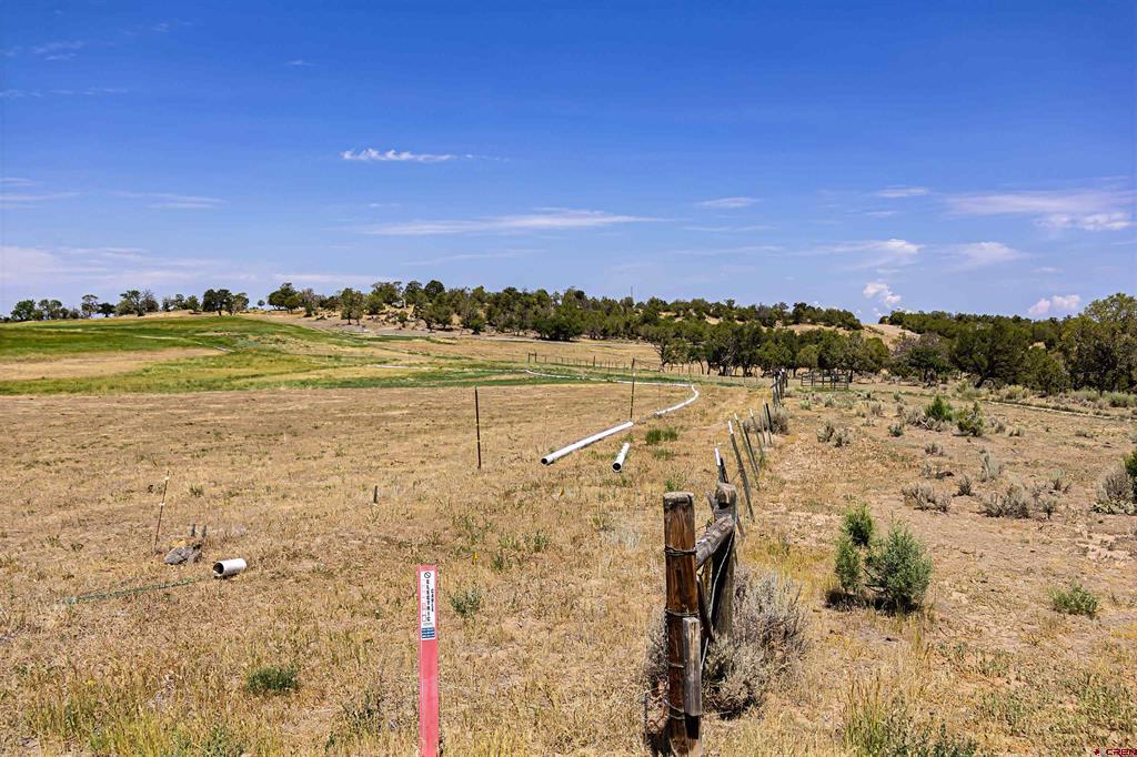 320 County Road 329 Ignacio CO 81137