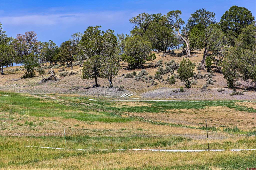 320 County Road 329 Ignacio CO 81137