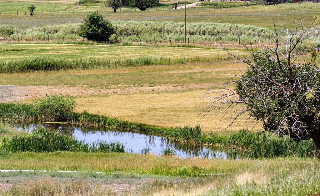 320 County Road 329 Ignacio CO 81137
