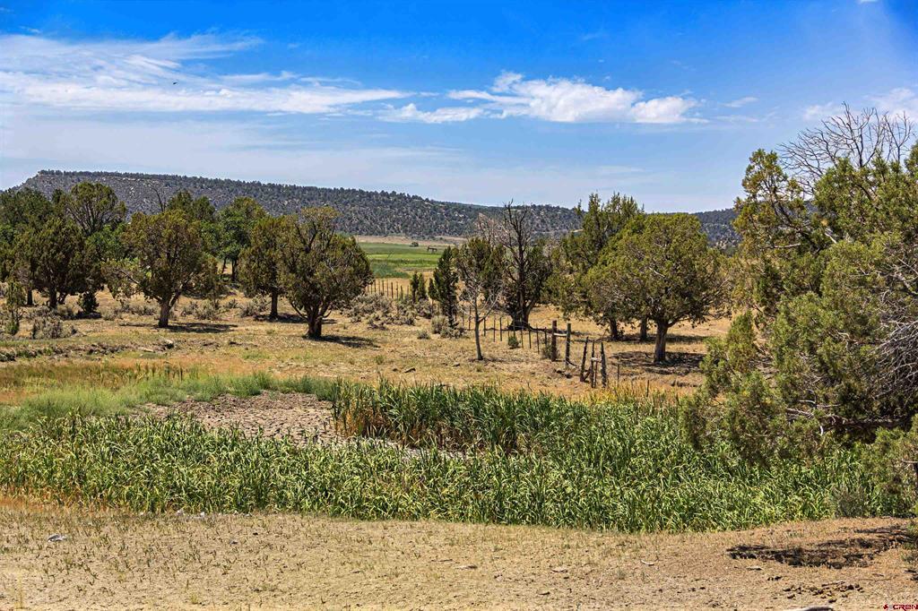 320 County Road 329 Ignacio CO 81137