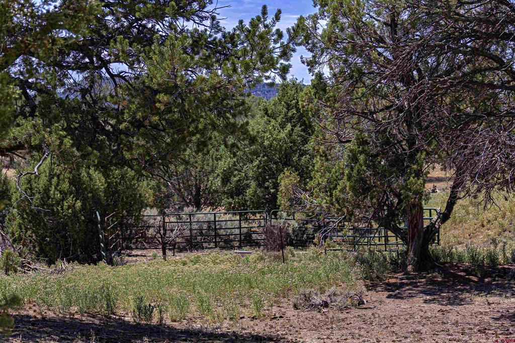 320 County Road 329 Ignacio CO 81137