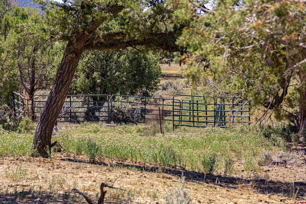 320 County Road 329 Ignacio CO 81137