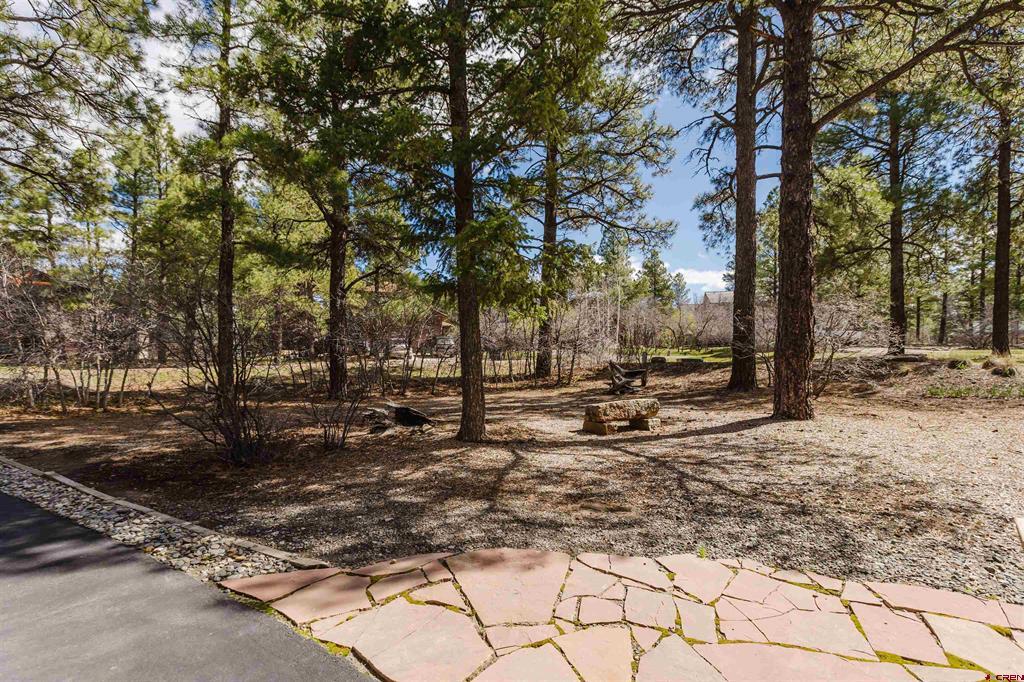 660 Twincreek Circle Pagosa Springs CO 81147