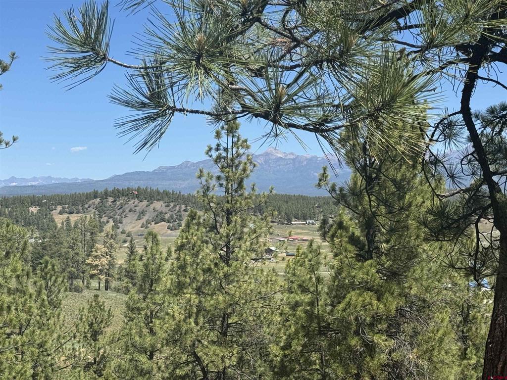 235 Clearwater Drive Pagosa Springs CO 81147