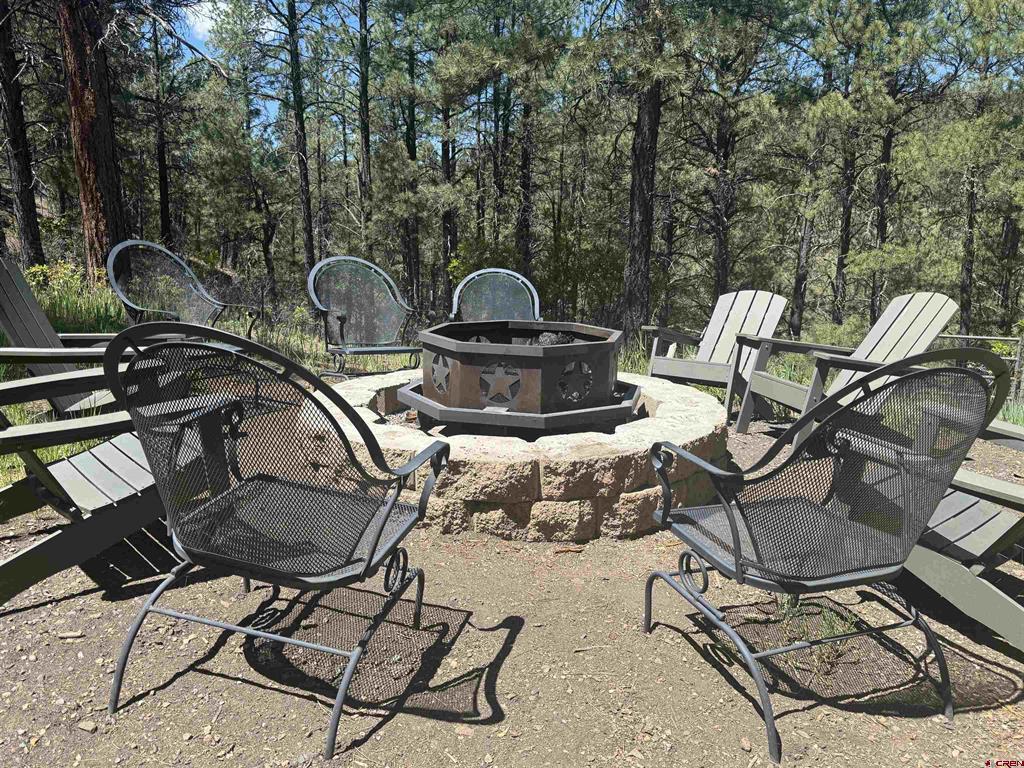 235 Clearwater Drive Pagosa Springs CO 81147