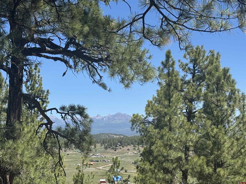 235 Clearwater Drive Pagosa Springs CO 81147