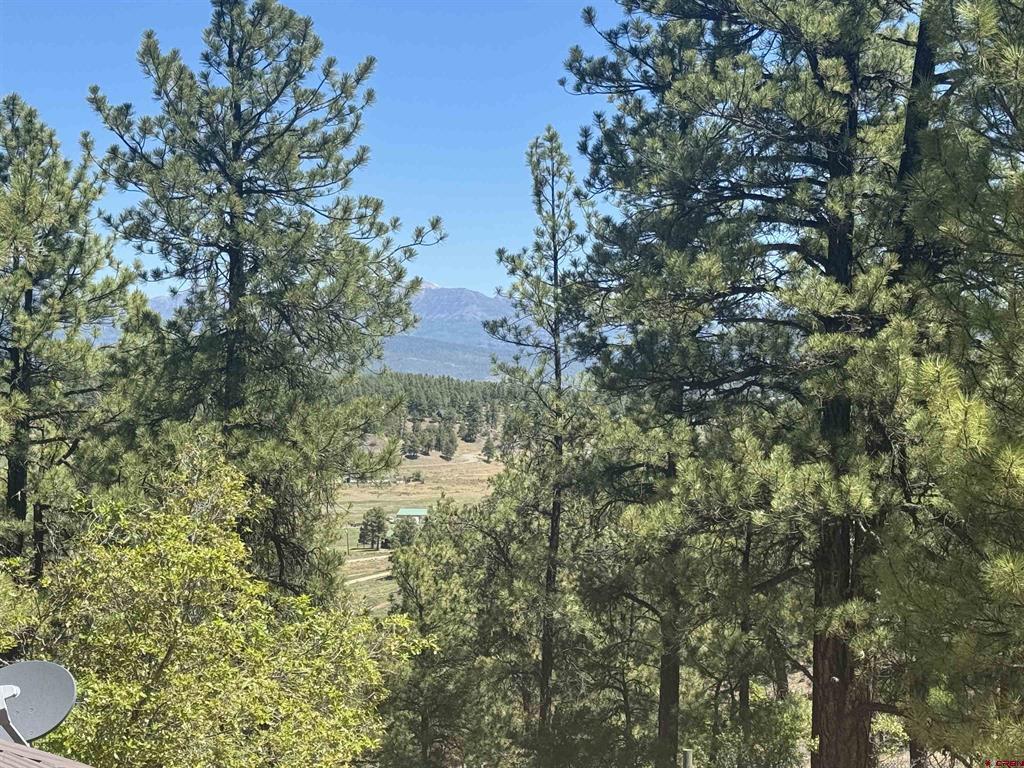 235 Clearwater Drive Pagosa Springs CO 81147