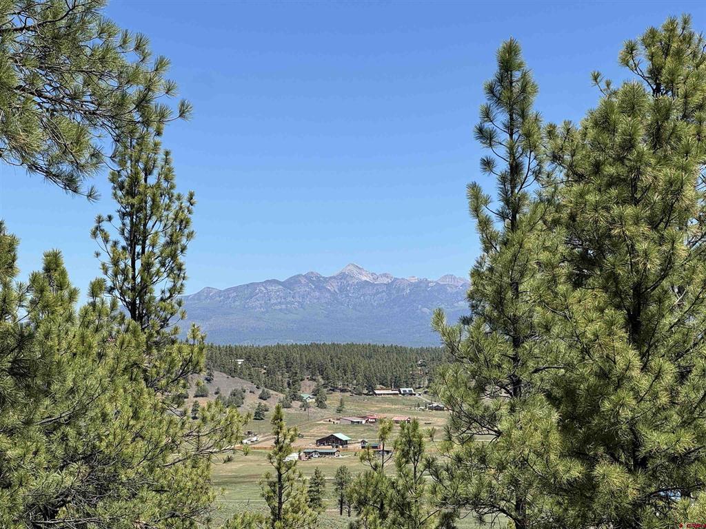 235 Clearwater Drive Pagosa Springs CO 81147