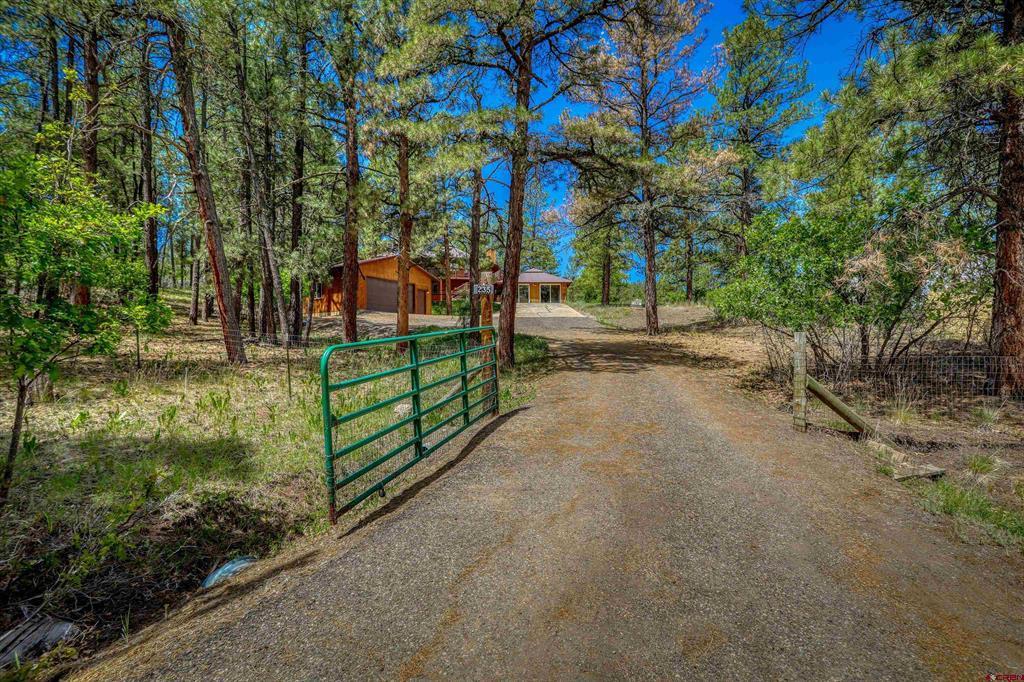 235 Clearwater Drive Pagosa Springs CO 81147