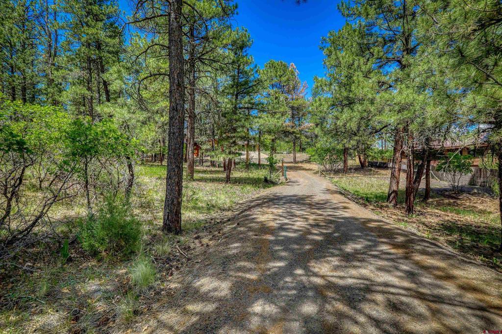 235 Clearwater Drive Pagosa Springs CO 81147