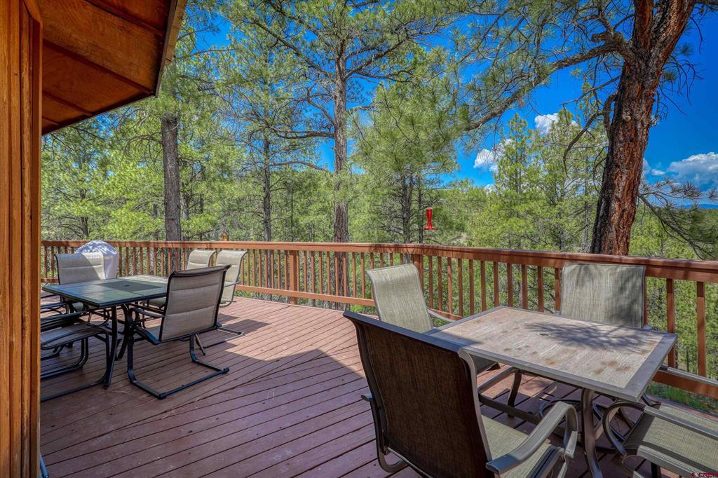 235 Clearwater Drive Pagosa Springs CO 81147