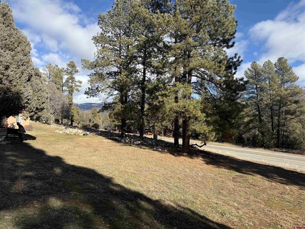 34237 N Highway 550 Durango CO 81301