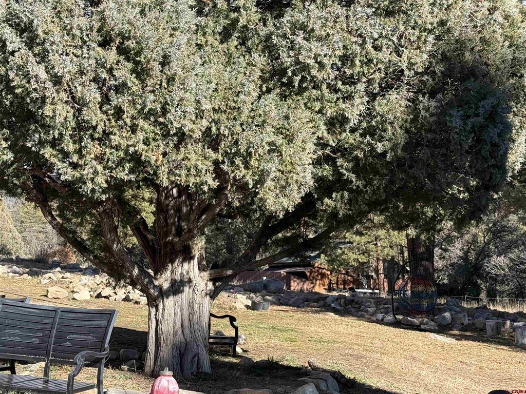 34237 N Highway 550 Durango CO 81301